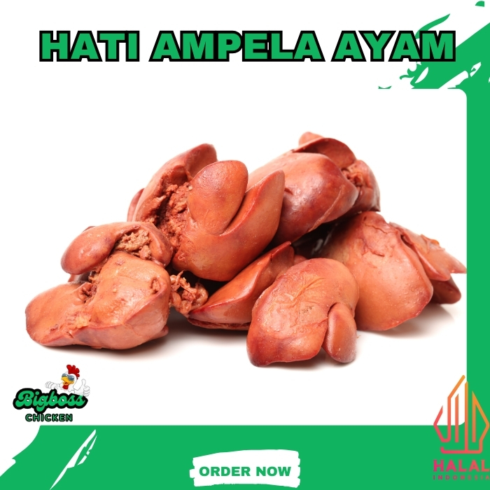 

HATI AMPELA AYAM UKURAN 1 KG