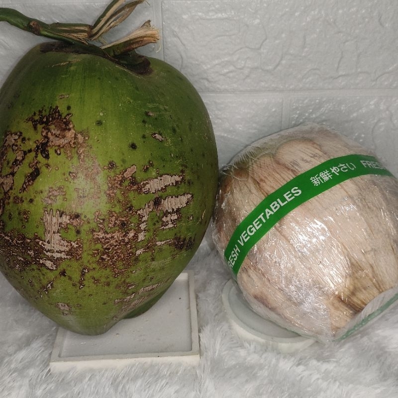 

KELAPA KOPYOR UKURAN 45-47