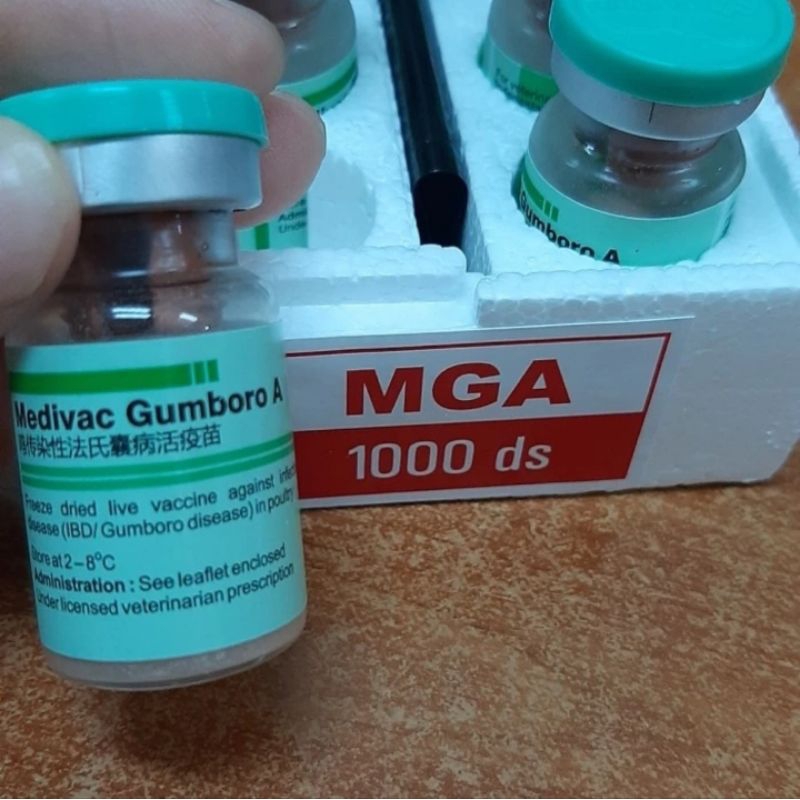 vaksin Medivac gumboro A 1000