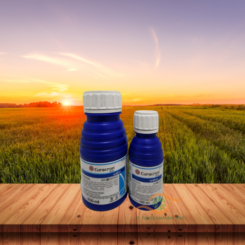 CURACRON INSEKTISIDA CURACORN 500EC Kemasan 100 ML/250 ML Kutu, Lalat Ulat, Penggerek Buah SYNGENTA