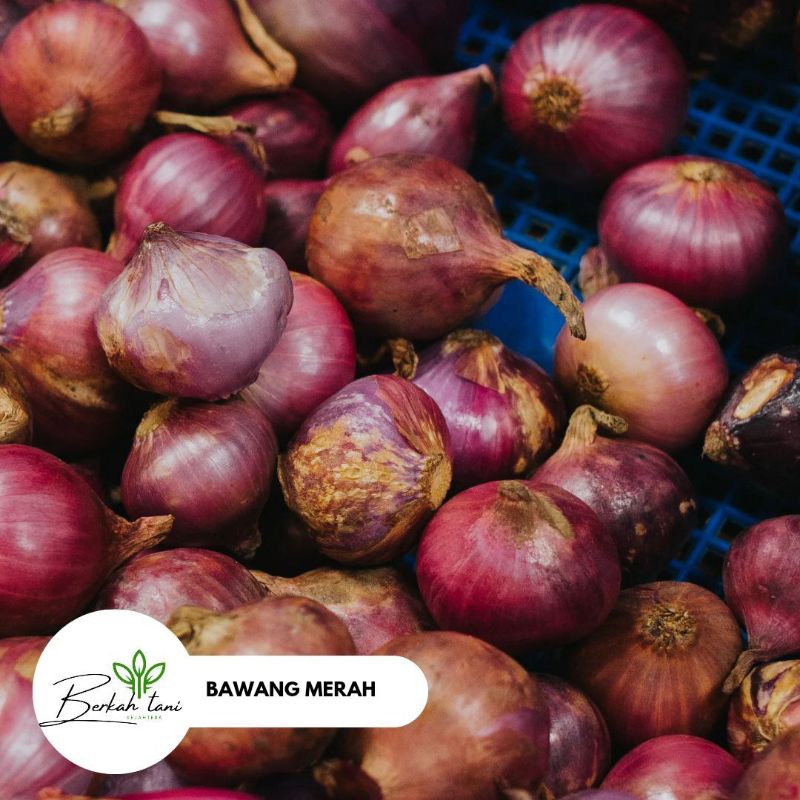 

BAWANG MERAH PERKILO FRESH