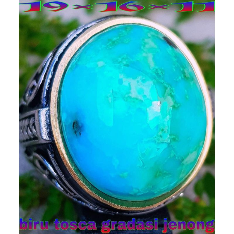 pirus persia biru lawasan kuno