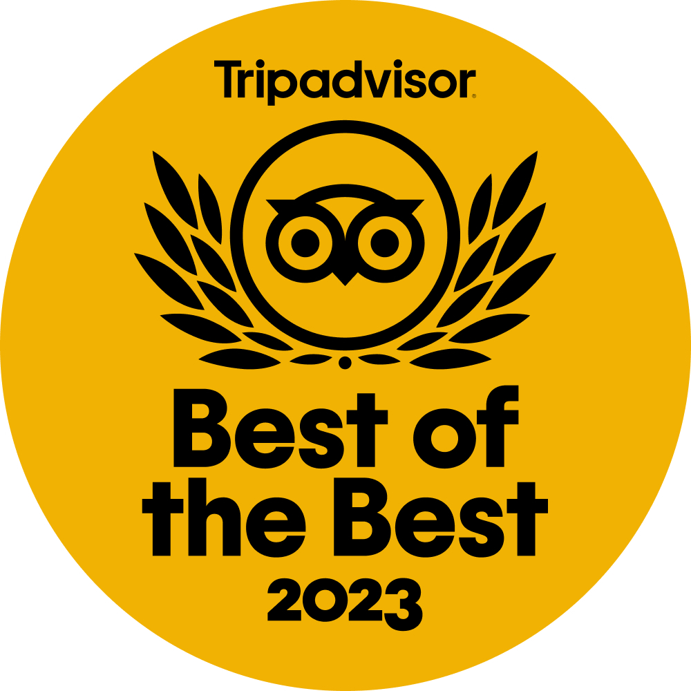 Review Tripadvisor Organik