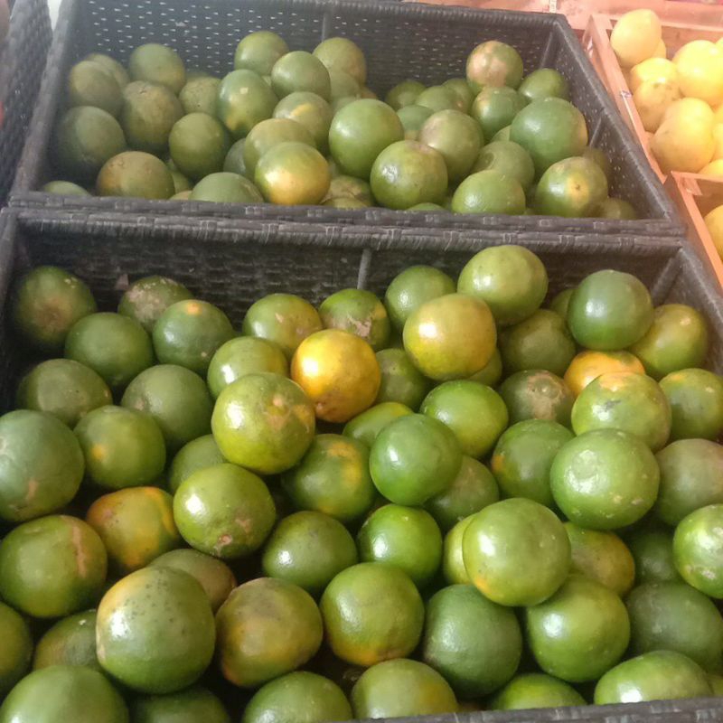 

Jeruk Siam Madu 900-1.000gr