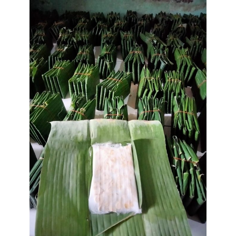 

TEMPE MENDOAN SUPER ISI 10PCS