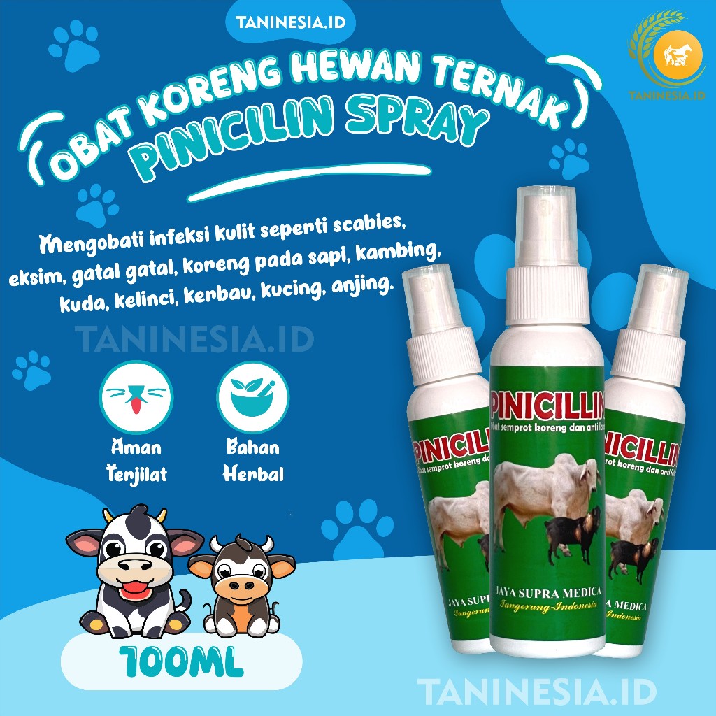 PINICILIN OBAT SEMPROT KORENG SAPI MENGOBATI PMK, SCABIES, GUDIX BOROKANTI LALAT SAPI KAMBING 100ML