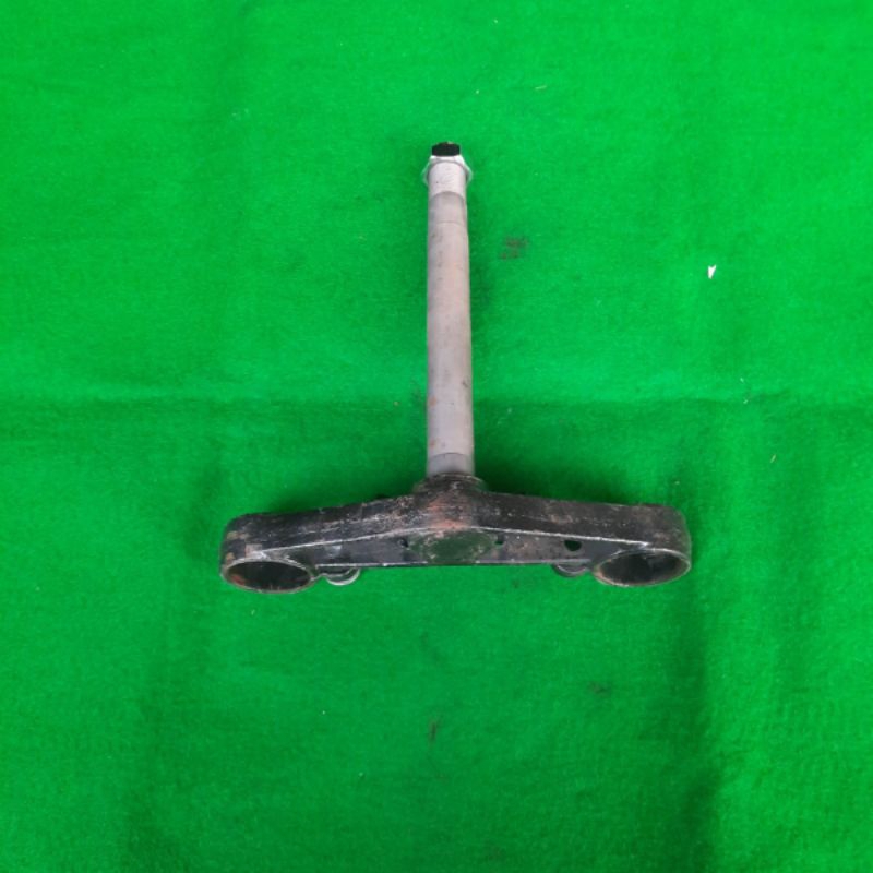 segitiga t bagian bawah byson bison