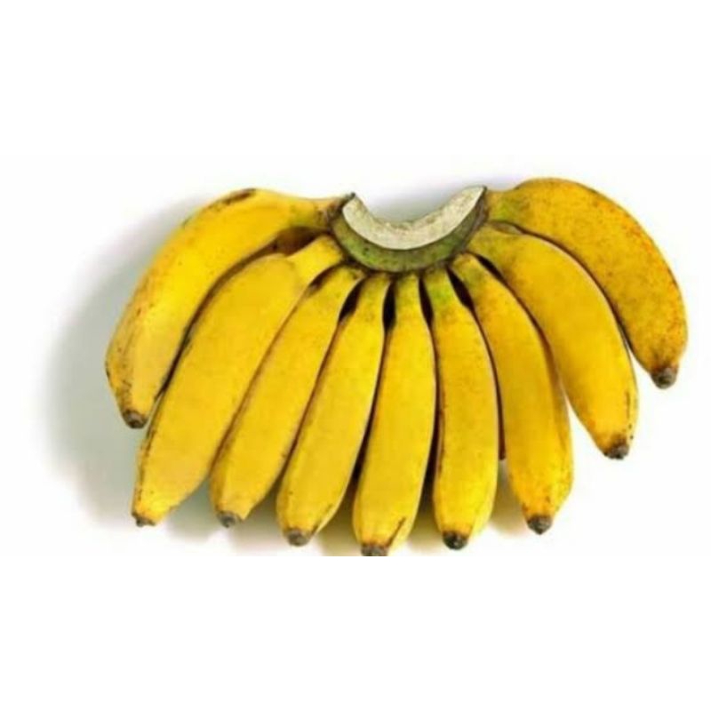 

pisang raja pesisir / pampang online