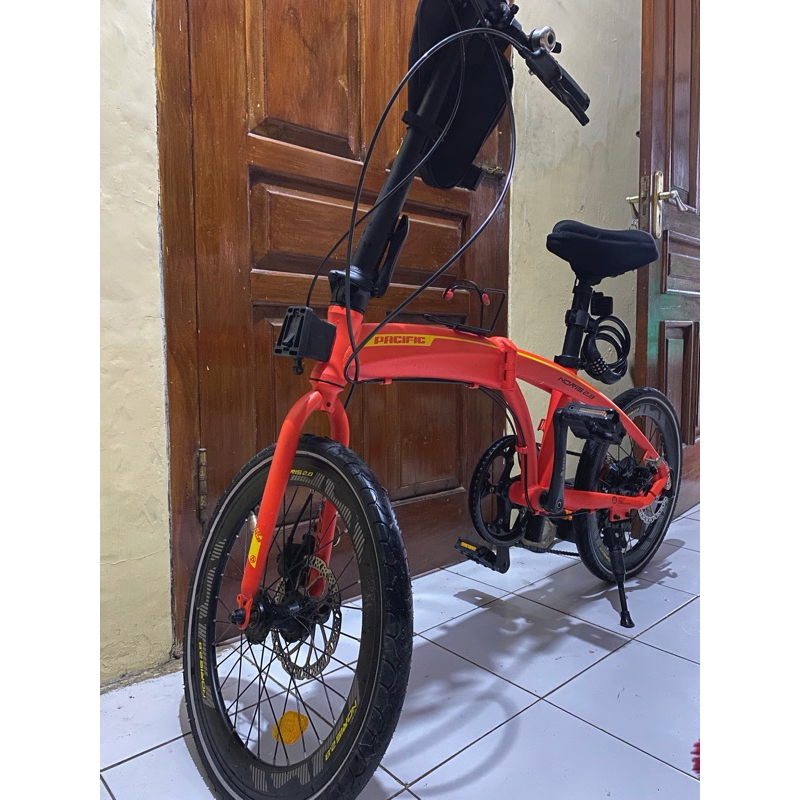 Pasific Noris 2.8