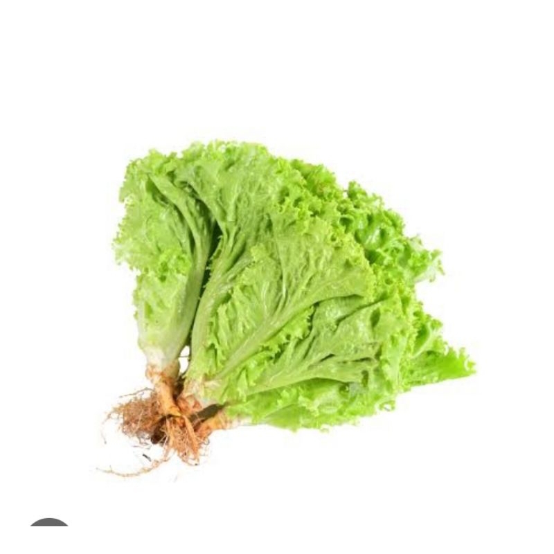 

500gram selada / pampang online