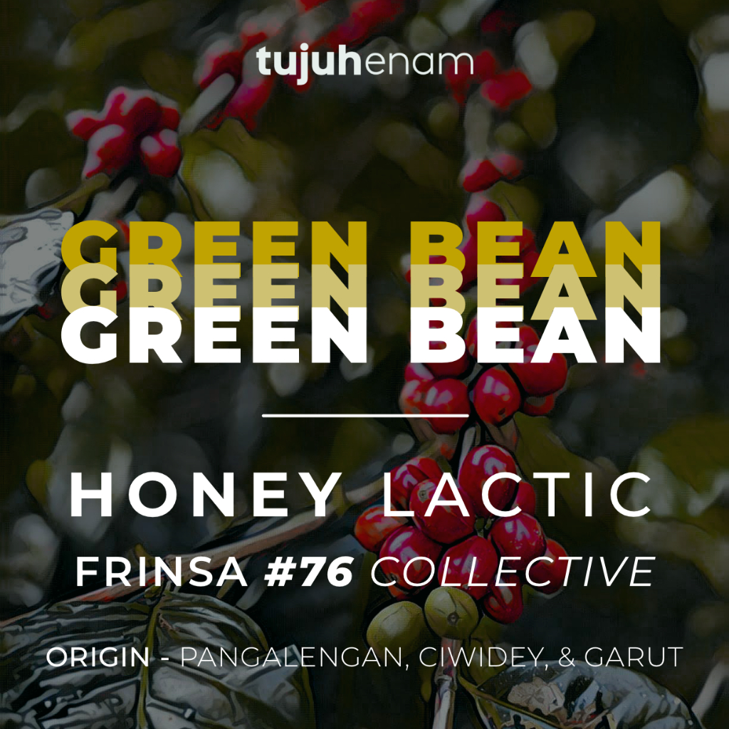 

Green Bean Arabika - Honey Lactic #76 Collective Garut | GB Biji Kopi Tujuhenam 76