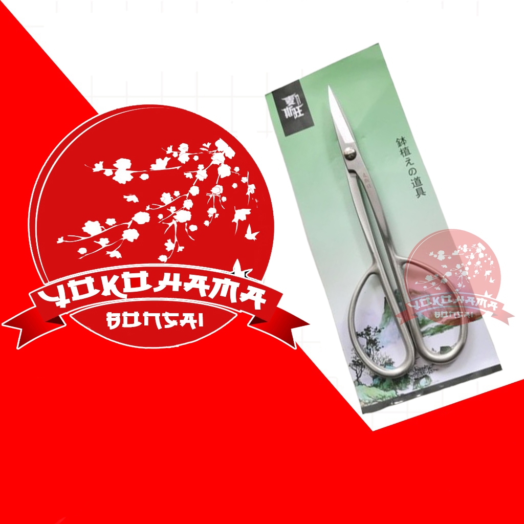 YOKOHAMA BONSAI-Alat Bonsai, Gunting Pruning China Stenlis, Gunting Maxwan 02