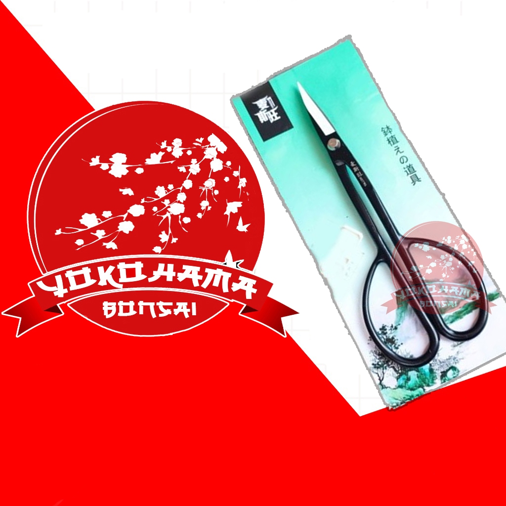 YOKOHAMA BONSAI-ALAT BONSAI Gunting Pruning Carbon, Maxwan China