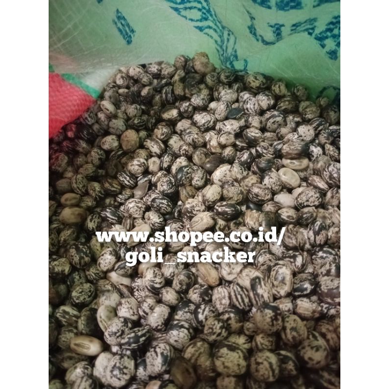 

Mucuna Kacang Koro Benguk Blirik Mentah 500 Gram