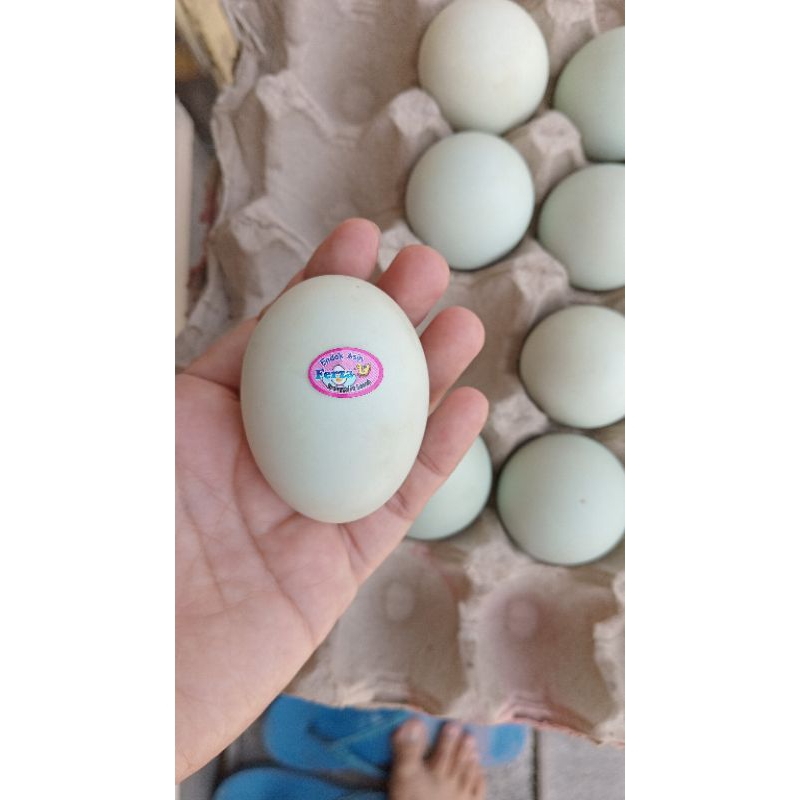 

Telur asin