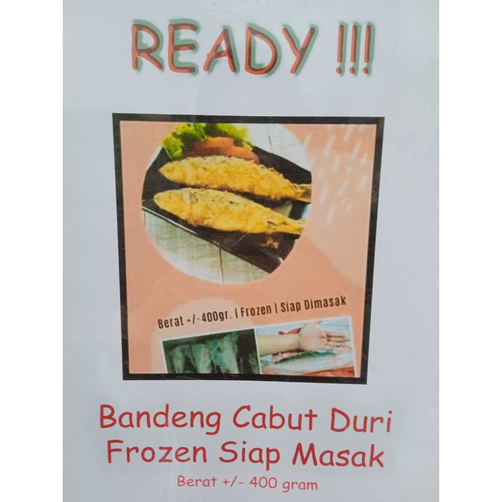 

READY SIAP KIRIM BANDENG CABUT DURI FROZEN