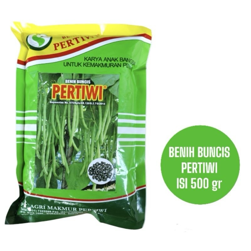 Benih buncis PERTIWI 500 Gram
