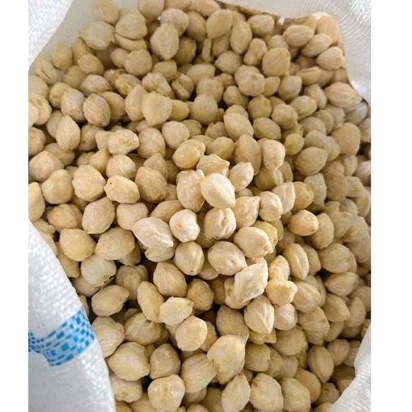 

BIJI KEMIRI BULAT UTUH 1/2 KG BUMBU DAPUR PENGUAT AROMA SEDAP DAN RASA MAKANAN