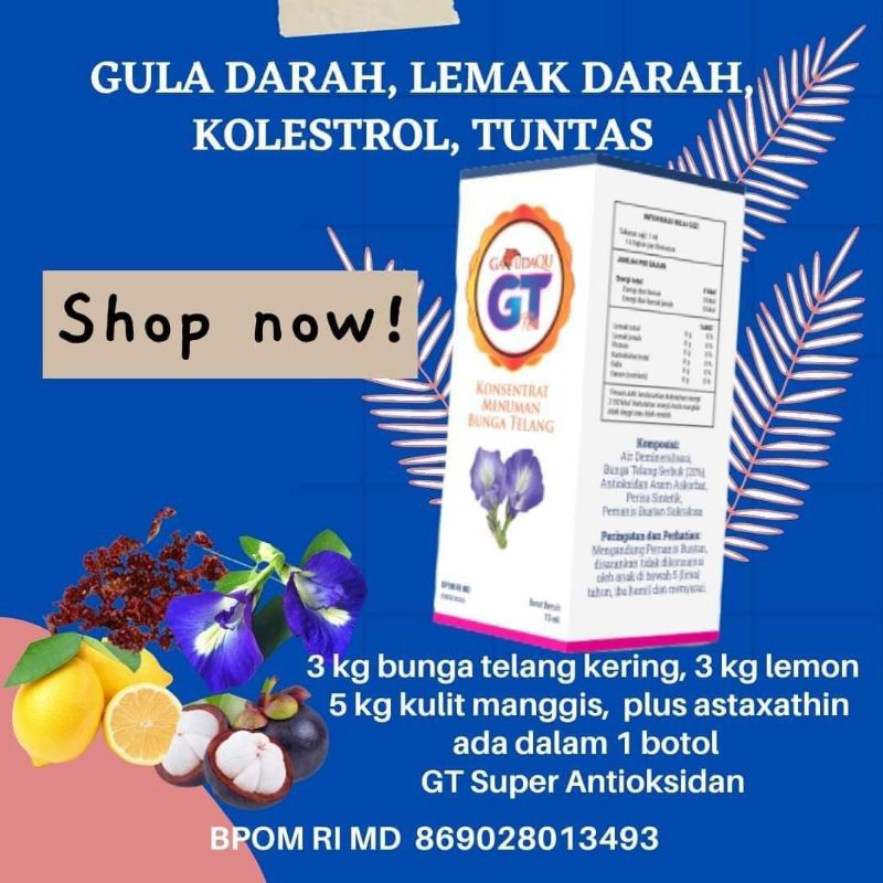 

GT Minuman Bunga Telang paket 5 Botol