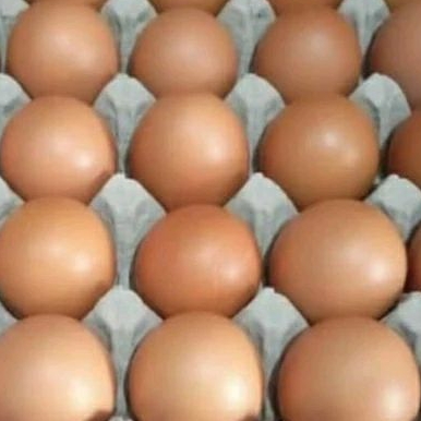 

telur ras/eropa biasa ( size MM)/ papan