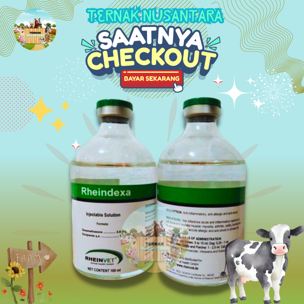 RHEINDEXA (Dexamethasone) Obat Bengkak dan Alergi Hewan | Antiinflamasi