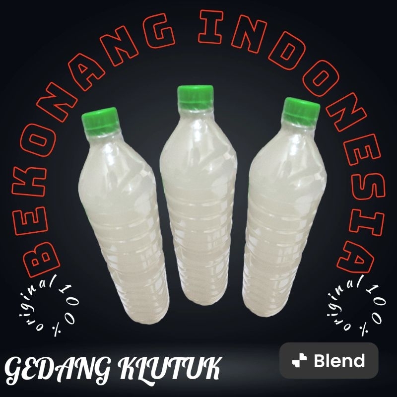 

minuman tradisional b3kon4ng klutuk (1,5 liter)