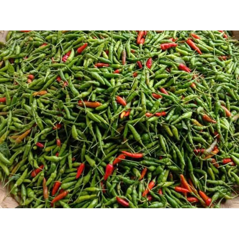 

Cabe rawit hijau murah 500 gr