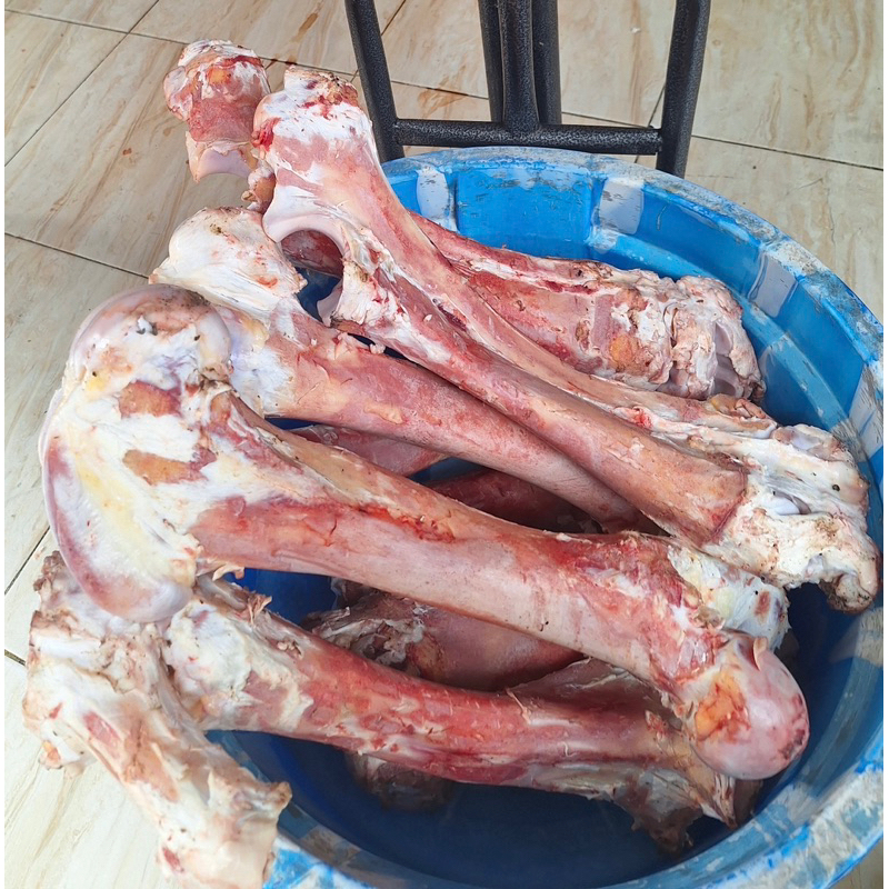 

sekengkel ( tulang sum sum 1 kg)