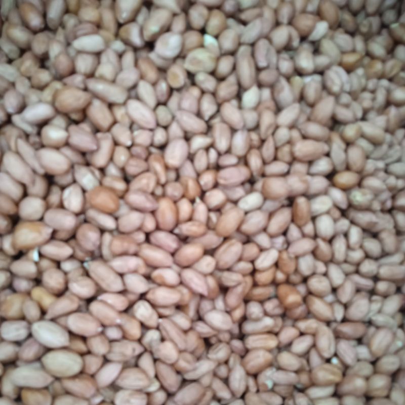 

kacang kupas 500 gram