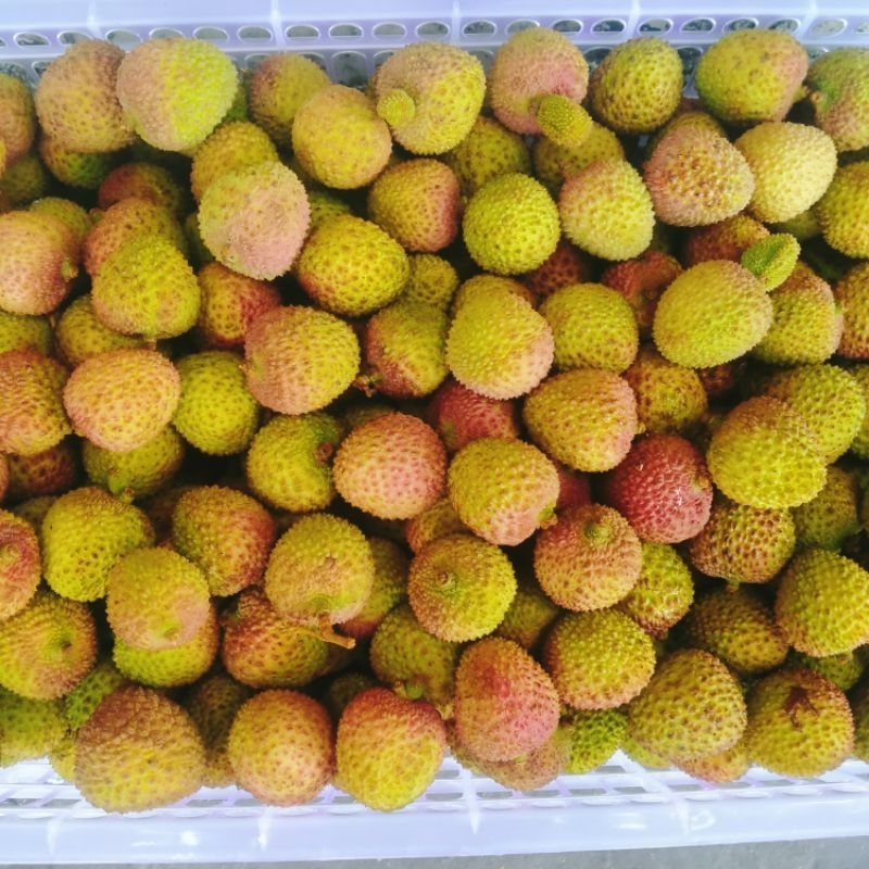 

Buah Leci Madu Hijau -+500g