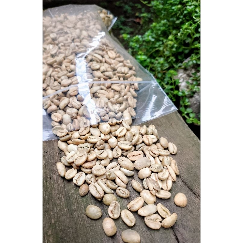 

kopi arabica lereng Semeru perkilo termurah kualitas grade A
