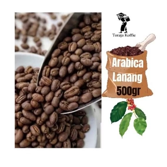 

Kopi Arabica Toraja Lanang Peabery 500gr Kopi Toraja