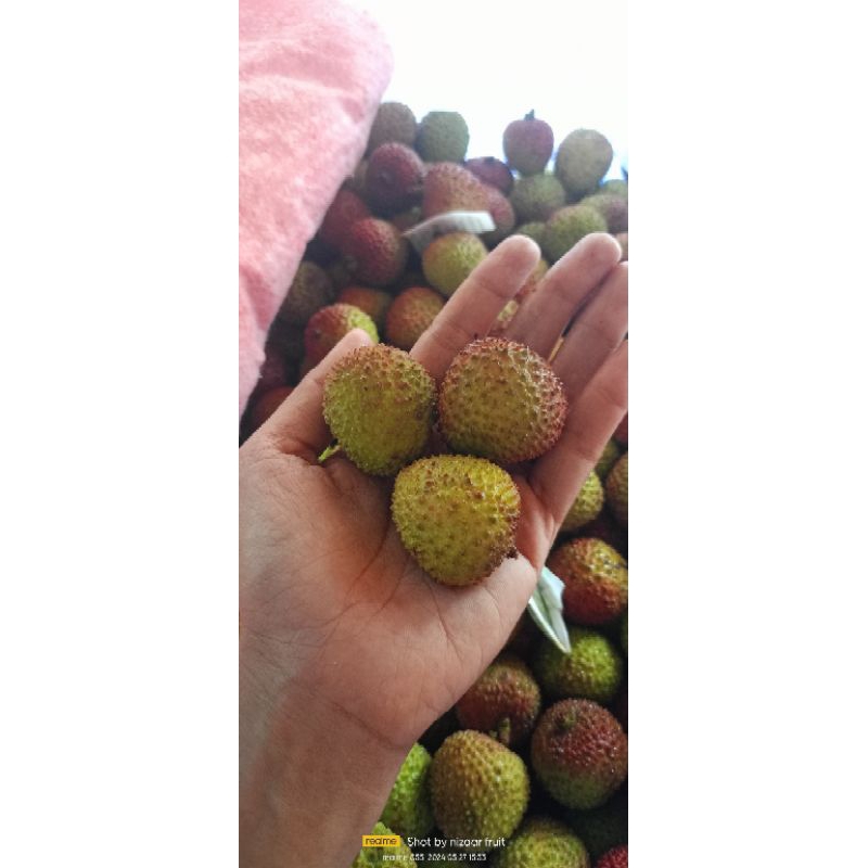 

leci madu