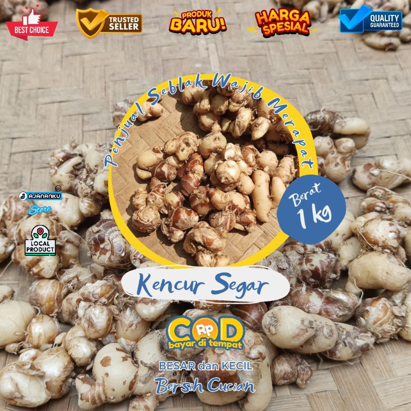 

1 Kg Kencur Segar Tua Bersih Cucian Kencur 1kg Cikur Bergaransi Best Quality