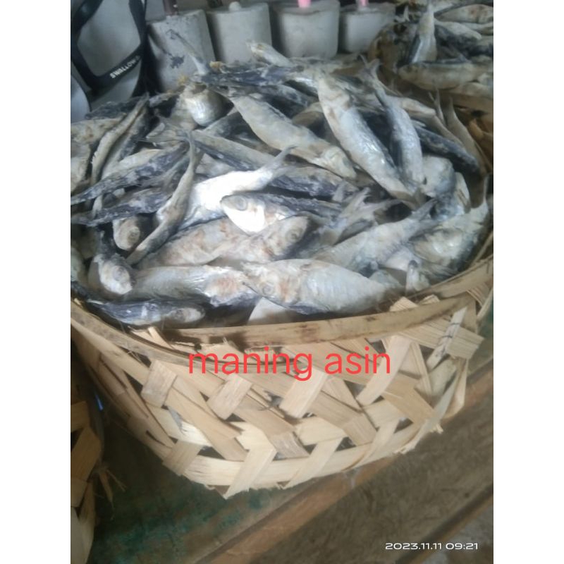 

ikan maning asin ½ kg 500 gram