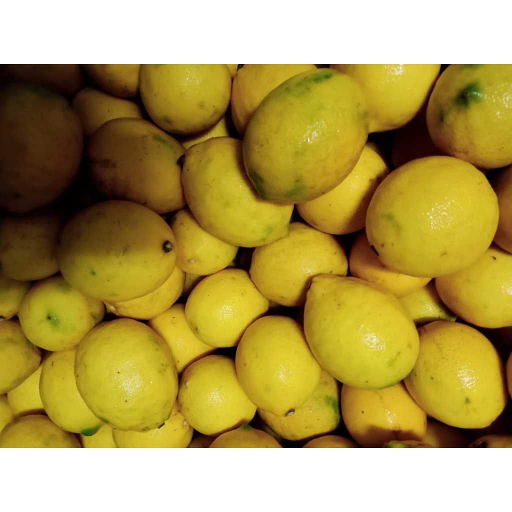 

Lemon Juicy Lokal | Lemon lokal | Lemon