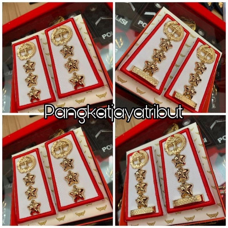 PANGKAT ASN KONAWE SELATAN GOLONGAN 3C 3D PANGKAT ASN