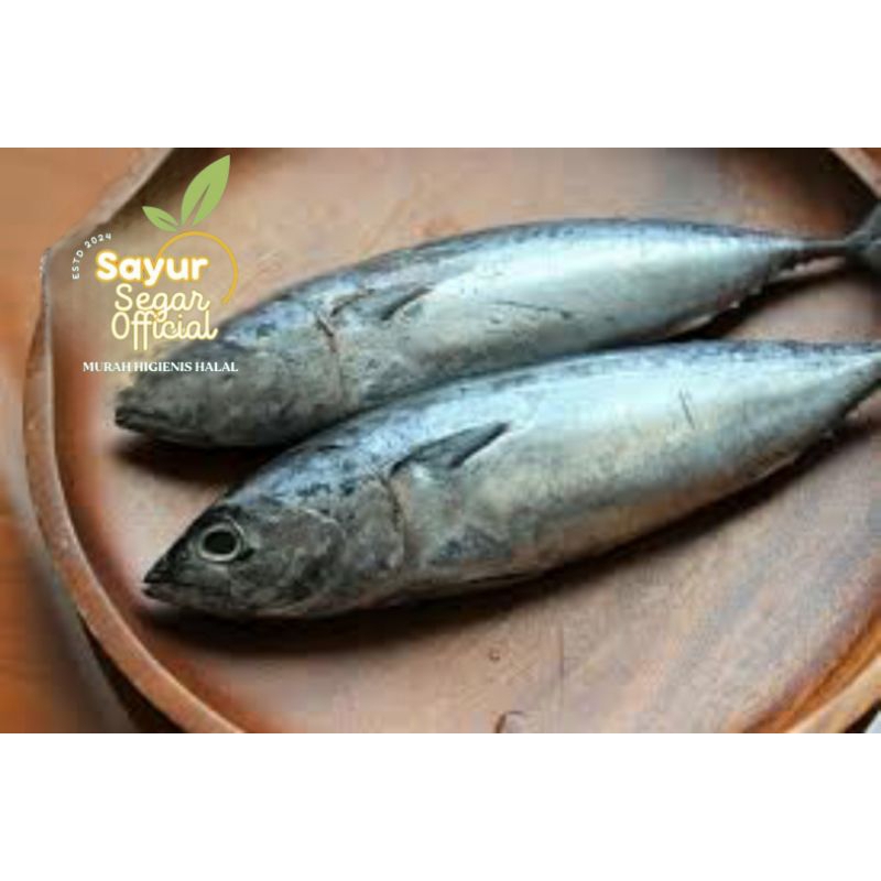 

Ikan Tongkol Segar 500gr / 1kg - Kirim Instan