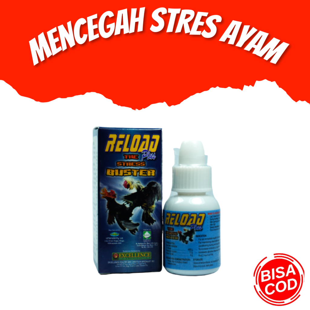 Reload Plus, Suplemen Energi Ayam Sabung, Obat Kuat Ayam Aduan