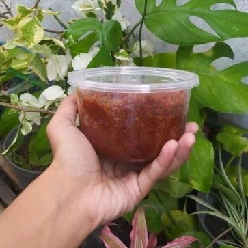 

bumbu pecel 100g 250g
