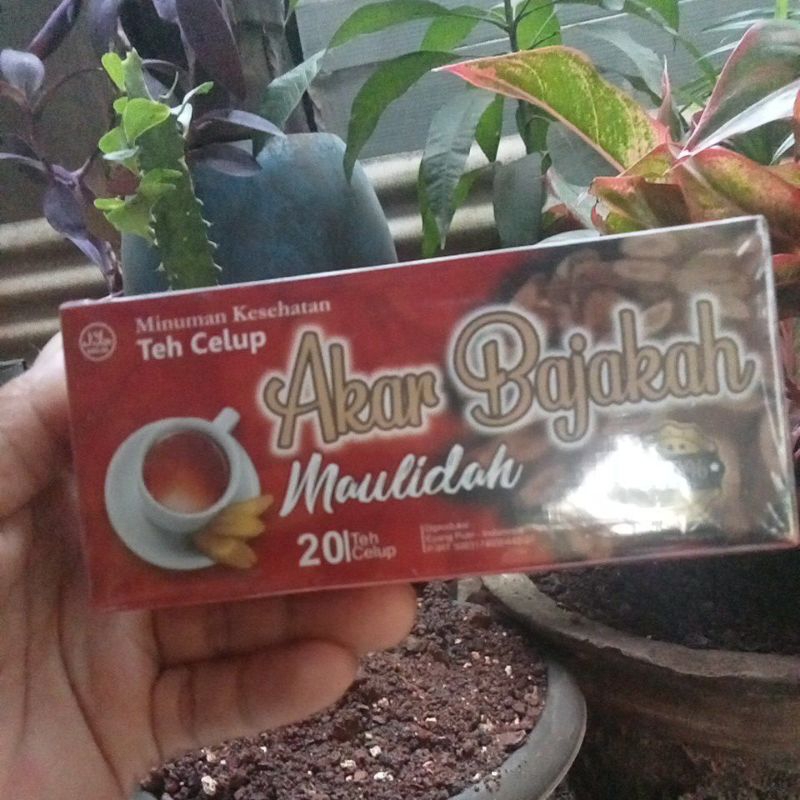 

Teh Celup Akar Bajakah/Teh Herbal Akar Bajakah Isi 20 Pcs