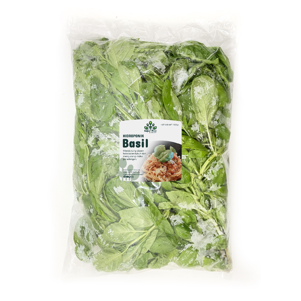 

SAYUR MINI Hidroponik Basil 500gr - Fresh Cut - Hydroponics