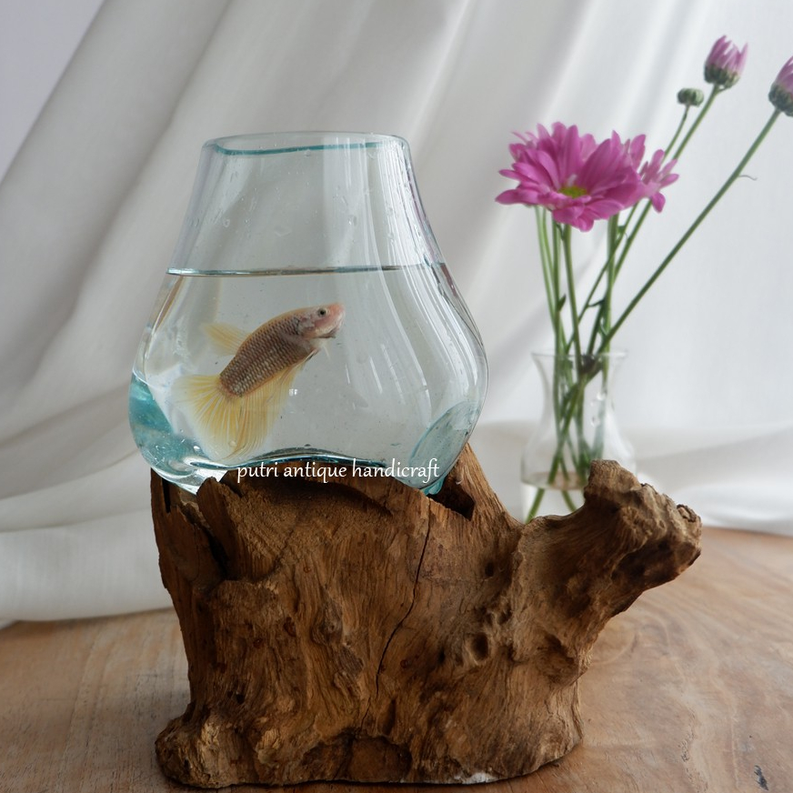 Aquarium Mini Ikan Cupang/Akuarium Kecil Untuk Ikan Hias