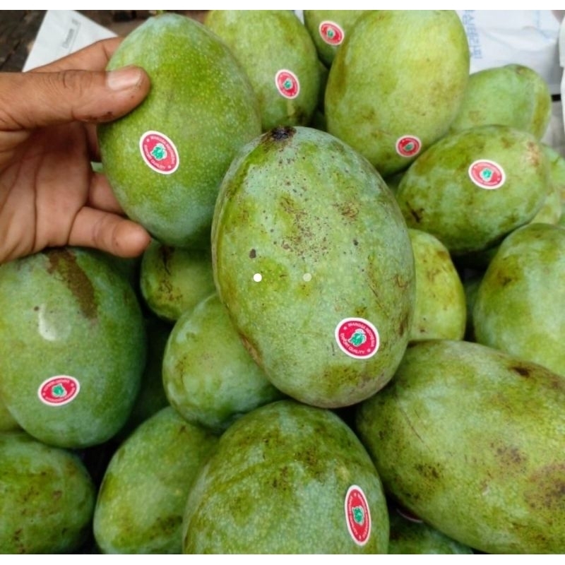

buah mangga manalagi 1 kg / buah mangga simanalagi fresh 1 kg