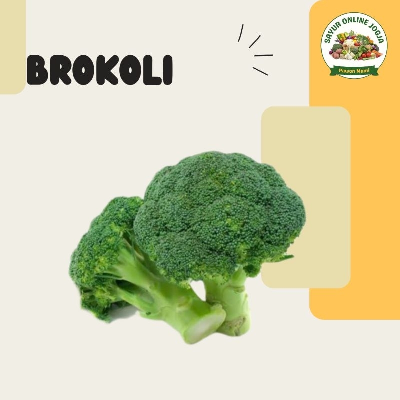 

Brokoli 220-250gr - PAWON MAMI SAYUR ONLINE JOGJA