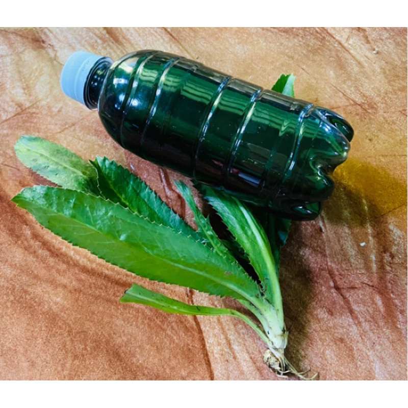 Essen walang sangit / esen walang sangit kemasan 150 ml-az