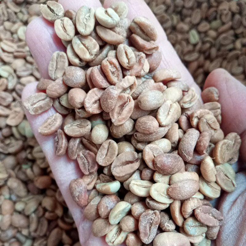 

Green Bean Arabika Arjuno Anaerob Pawe Malang