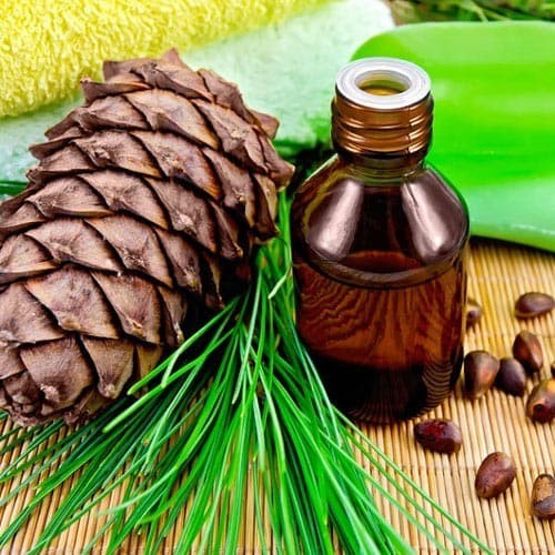 Pine Oil / Minyak Pinus 100 MURNI