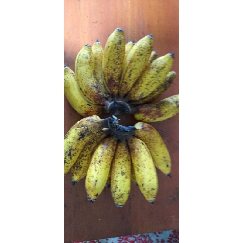 

Buah Pisang Susu matang
