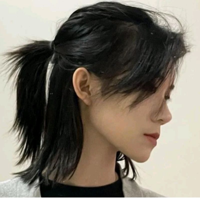 Wig Pria Tampan Rambut Panjang Warna Hitam Gaya Rambut Ekor Srigala Dengan Poni Terbelah Model Cowok